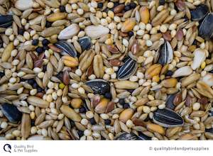 Best Sellers: Cockatiel Mix - Topflite