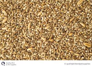 Best Sellers: Budgie Mix - Topflite