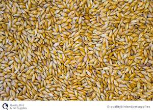 NZ Canary Seed - Topflite
