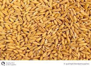 Budgie: Hulled Oats - Topflite