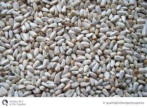 Budgie: Safflower - Topflite