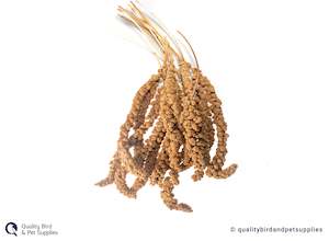 Cockatiel: Millet Sprays