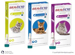 Cat Health: Bravecto Spot On For Cats