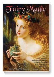 Fairy Magic Ambient DVD