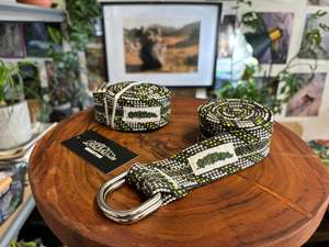 Belay Belts: Silver back belt