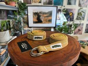 Lizard belt