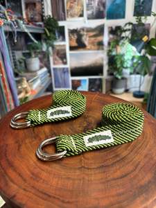 Kiwi burst belt