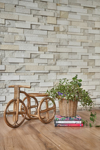 Tricycle Planter