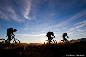 Products: Rental Bikes