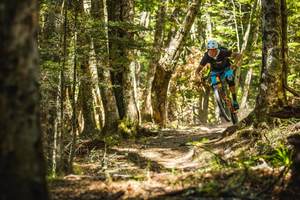 Products: 10 Day Trail Fiend