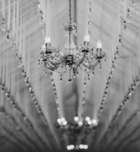 Wedding Installation Service » Queenstown Wedding Hire