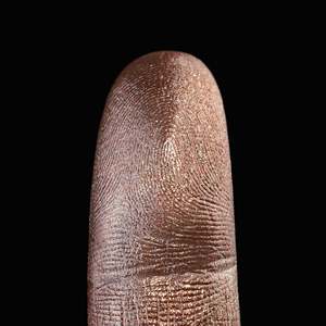All Pigments: Rosegold Bloom