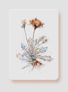 Limited Edition Prints: Torn