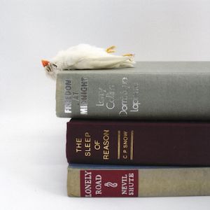 Open Edition Prints: Untitled