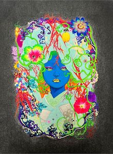 Collector S Preview: Hide Your Face