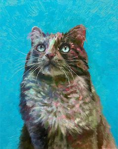 Current Exhibition: Disco Kitty