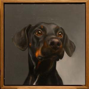 Current Exhibition: Freddy