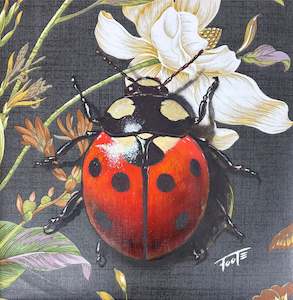 Ornate Ladybird