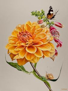 Limited Edition Prints: If A Snail, Be A Snail