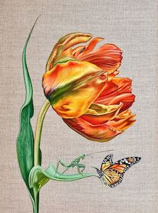 Limited Edition Prints: Two To Tango