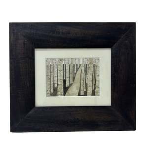 The Eyes of the Forest