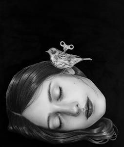 Current Exhibition: The Wind-Up Bird