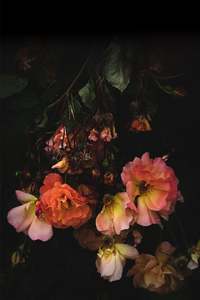 Floral Study No. 1