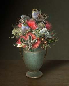 Current Exhibition: Among the Pohutukawa
