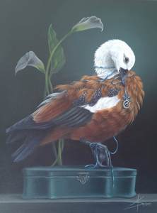 Current Exhibition: Entwined