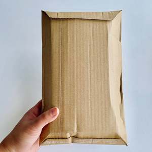 Samples: TESTER PACK of Mixed Cushioned Paper Courier bags (free shipping)