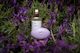 Indulge in Lavender Bliss: Discover Our Lavender Room Mist & Body Bar Duo