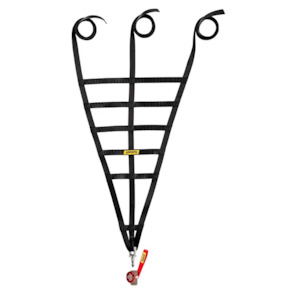 Sabelt: Sabelt Window Net FIA 8863-2013 (CFRN2008)