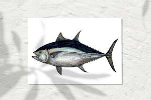 Sea Life Collection: Bluefin Tuna, Colour 2025