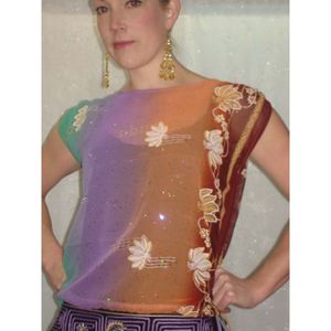 Indo Western: Multi-Coloured Sheer Top-IWKT012