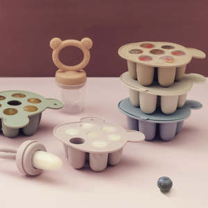 For Baby: Silicone Feeder and Matching Food Molds: Make Healthy & Fun Treats!