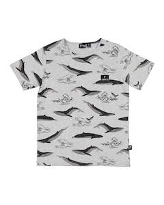 RD1834 THE TROPICAL WHALE TEE
