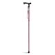 Lifestyle folding T-handle walking stick
