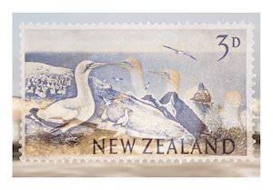 Commmunity - Rāhera Creative