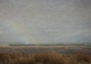 Products: Desert Road - Rāhera Creative