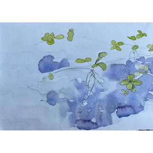 The Pond, study 2