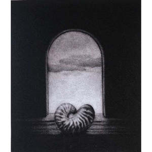 Nautilus