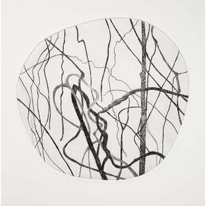 Bushwalk - Remnant III