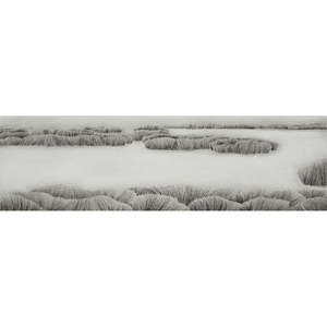 Kyla Creswell: Once Lay a Wetland - Kōreti I