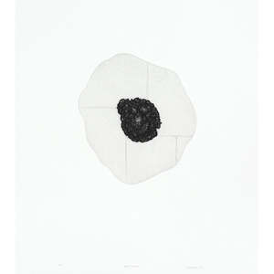 Kyla Creswell: Bush Survey