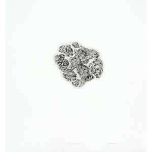 Kyla Creswell: Bush Remnant I