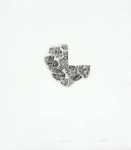 Kyla Creswell: Bush Remnant II