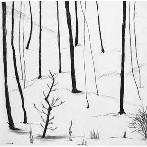 Kyla Creswell: Elsewhere - Hillside II