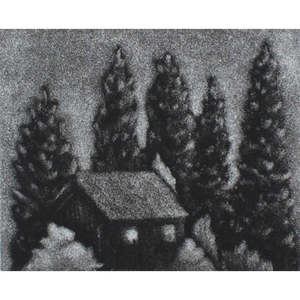A Light in the Forest