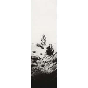 Kyla Creswell: The Wildings