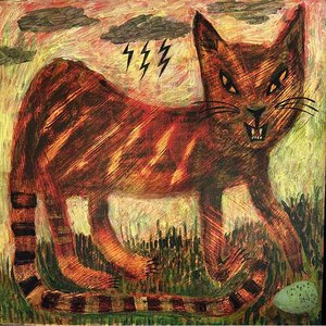Wildy: Wild Cat